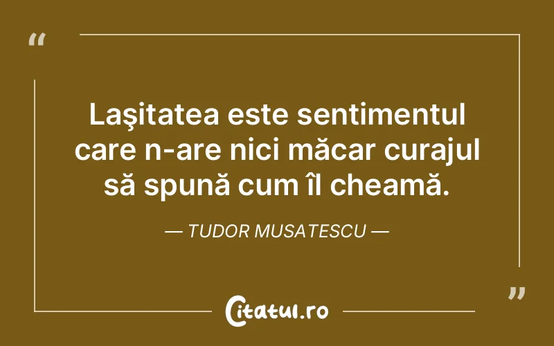 Citat Tudor Musatescu - citate motivationale