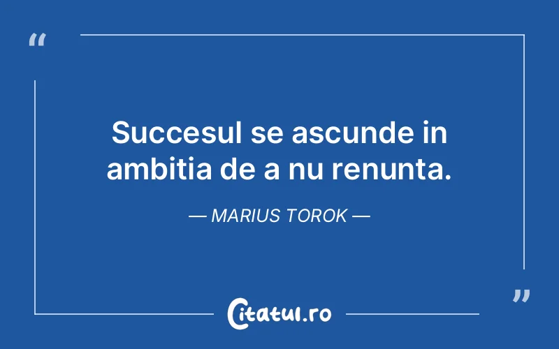 Citat Marius Torok - citate motivationale