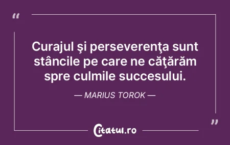 Curajul şi perseverenţa sunt stâncile...