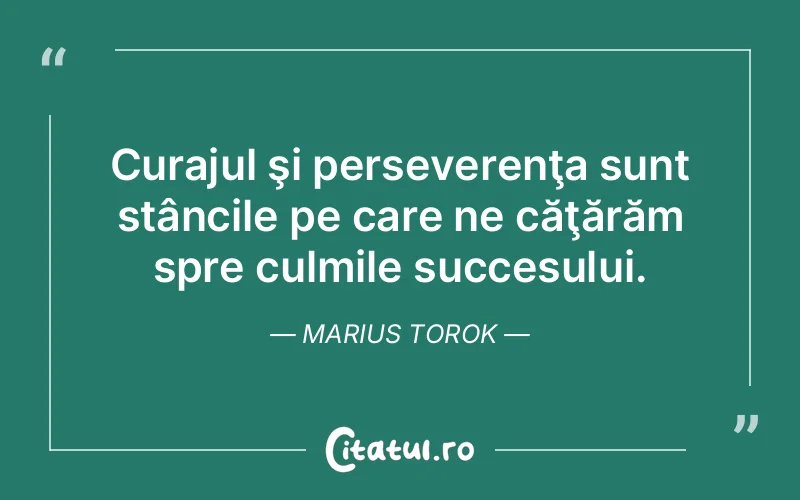 Citat Marius Torok - citate motivationale