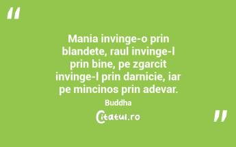 Mania invinge-o prin blandete, raul invinge-l prin bine, pe zgarcit invinge-l prin darnicie, iar pe mincinos prin adevar. Buddha...