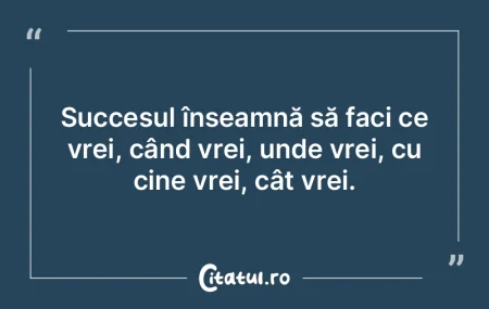 Succesul înseamnă să faci ce vrei, cÃ... Succesul înseamnă să faci ce vrei, cÃ...