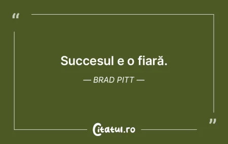 Succesul e o fiară. Brad Pitt