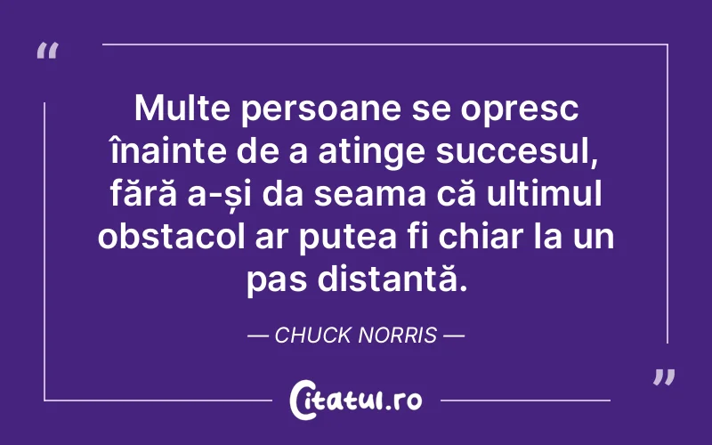 Citat Chuck Norris - citate motivationale