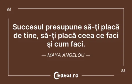 Succesul presupune să-ţi placă de tin... Succesul presupune să-ţi placă de tin...