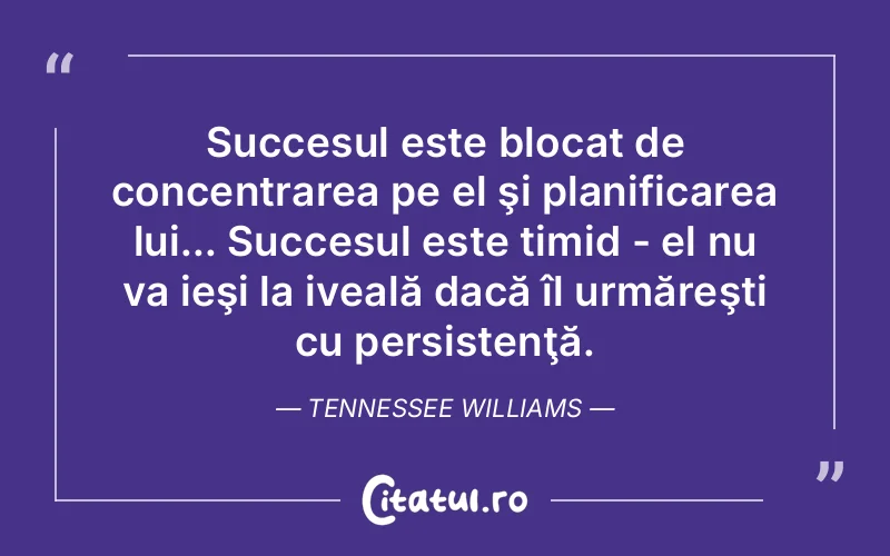 Succesul este blocat de concentrarea pe el şi planificarea lui... Succesul este timid - el nu va ieşi la iveală dacă îl urmăreşti cu persistenţă. Tennessee Williams