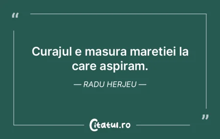 Curajul e masura maretiei la care aspira...