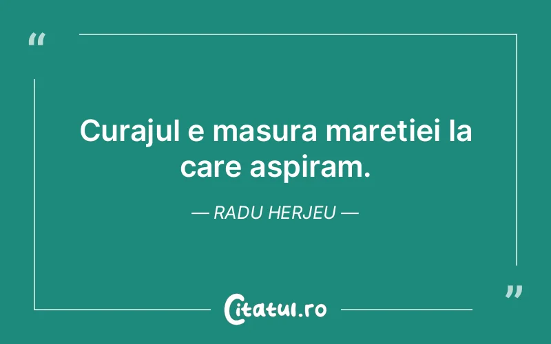 Citat Radu Herjeu - citate motivationale