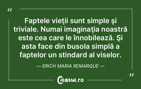 Faptele vieţii sunt simple şi triviale...