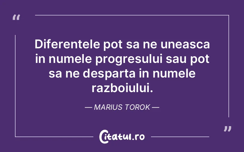 Citat Marius Torok - citate motivationale