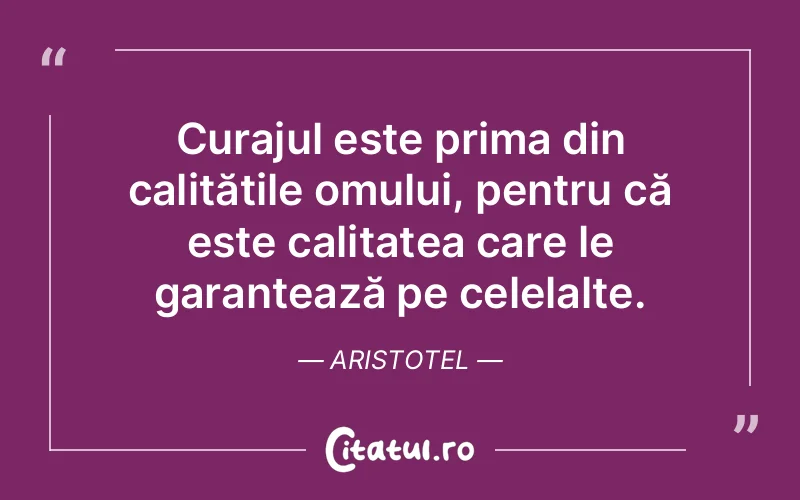 Citat Aristotel - citate motivationale