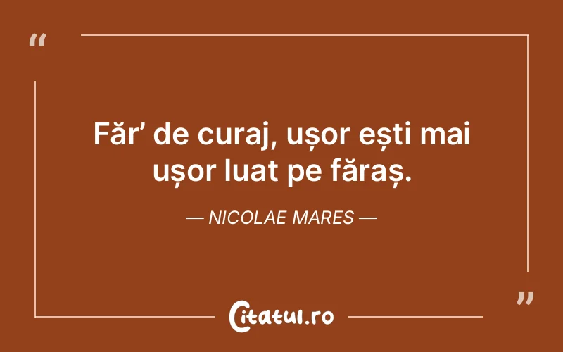 Citat Nicolae Mares - citate motivationale