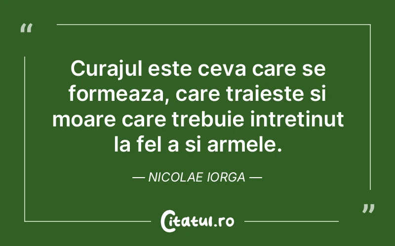 Citat Nicolae Iorga - citate motivationale