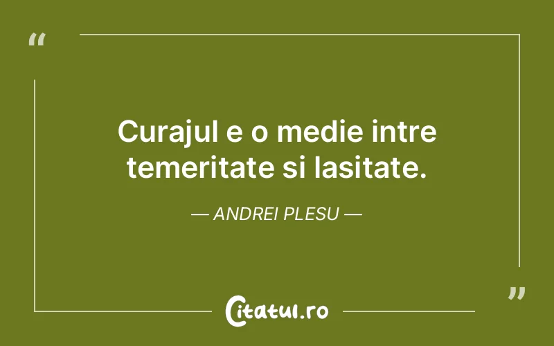 Citat Andrei Plesu - citate motivationale