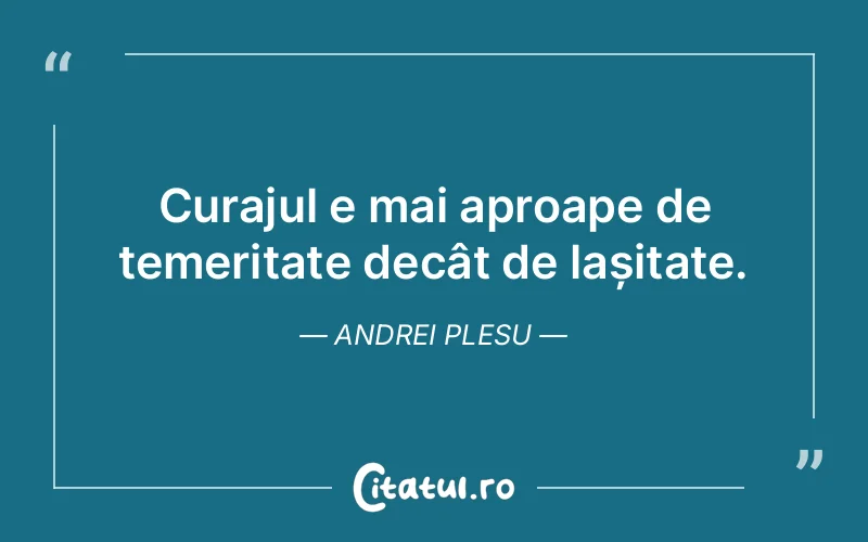 Citat Andrei Plesu - citate motivationale