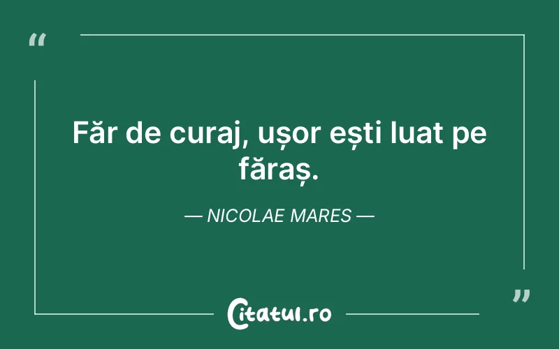 Citat Nicolae Mares - citate motivationale