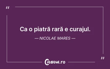 Ca o piatră rară e curajul. Nicolae Ma... Ca o piatră rară e curajul. Nicolae Ma...