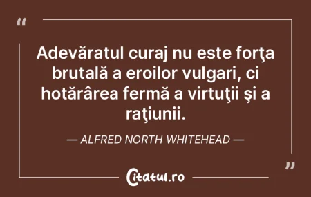 Adevăratul curaj nu este forÅ£a brutalÄ... Adevăratul curaj nu este forÅ£a brutalÄ...