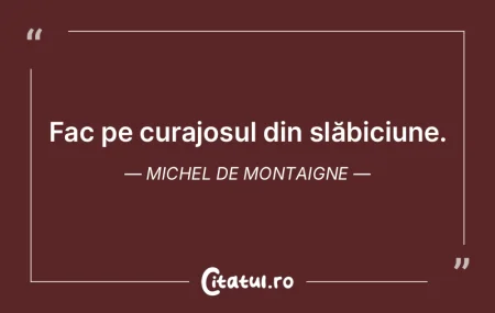 Fac pe curajosul din slăbiciune. Michel... Fac pe curajosul din slăbiciune. Michel...
