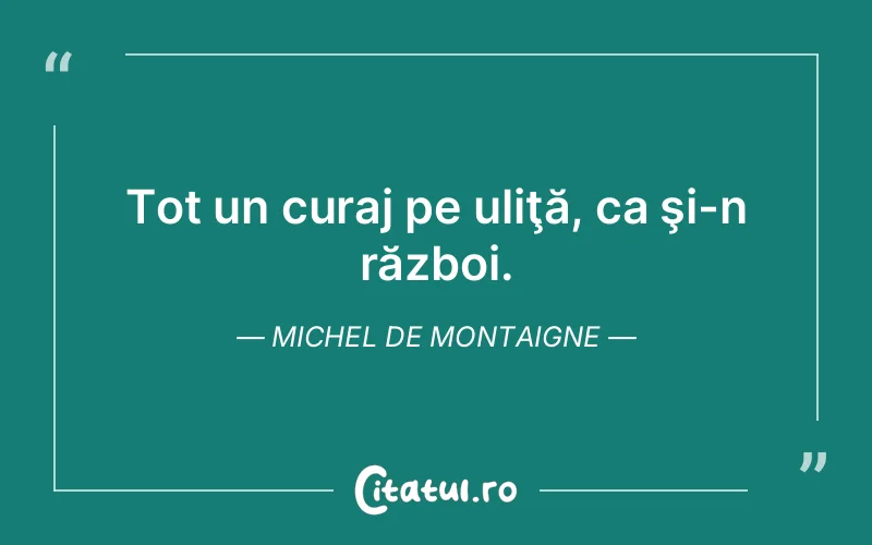 Citat Autor necunoscut - citate motivationale