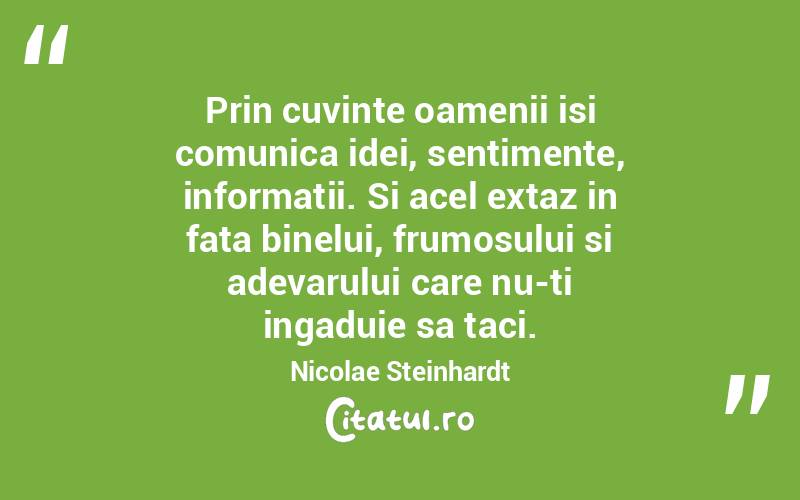 Prin cuvinte oamenii isi comunica idei, sentimente, informatii. Si acel extaz in fata binelui, frumosului si adevarului care nu-ti ingaduie sa taci. Nicolae Steinhardt