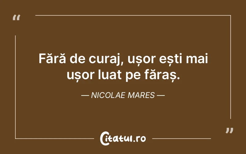 Citat Nicolae Mares - citate motivationale