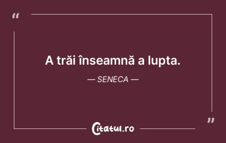 A trăi înseamnă a lupta. Seneca A trăi înseamnă a lupta. Seneca