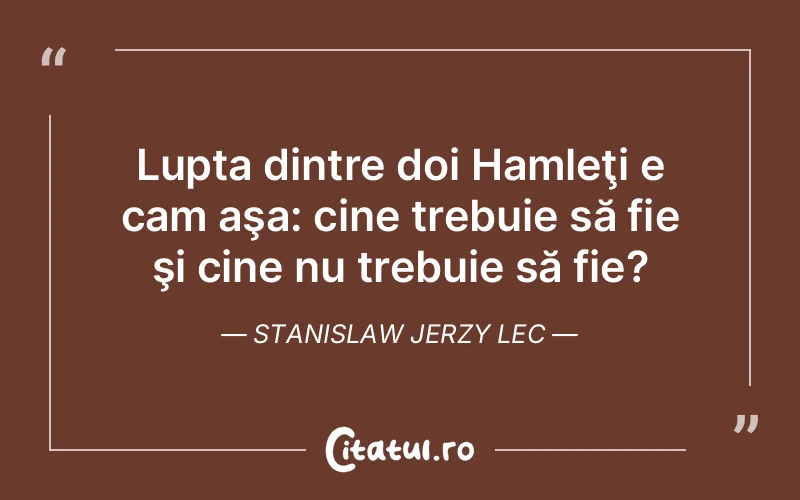 Citat Stanislaw Jerzy Lec - citate motivationale