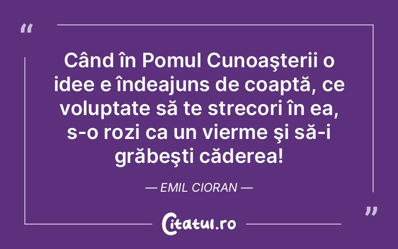 Citat Emil Cioran - citate motivationale
