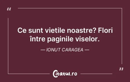 Ce sunt viețile noastre? Flori între p... Ce sunt viețile noastre? Flori între p...
