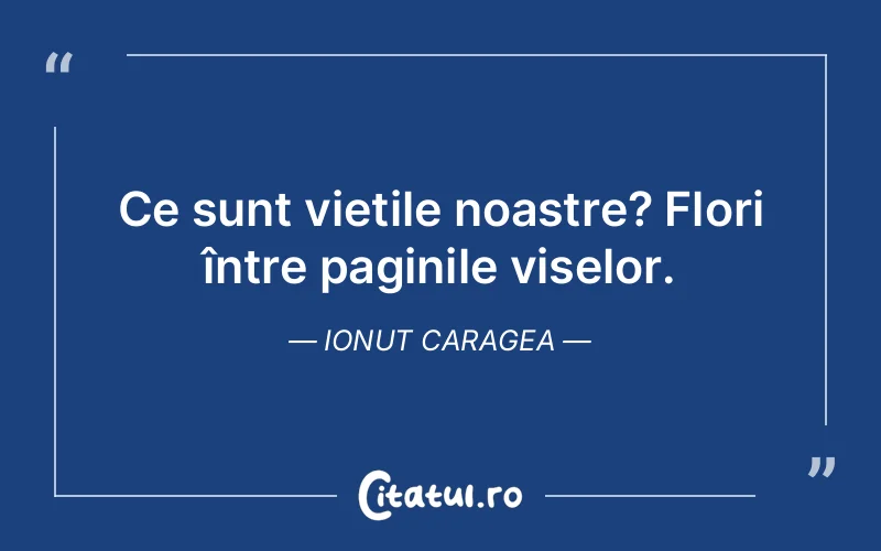 Citat Ionut Caragea - citate motivationale
