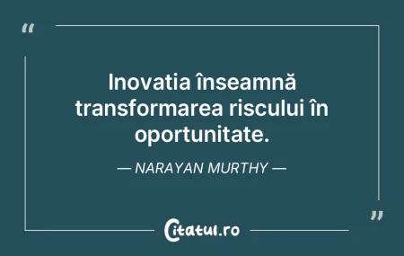 Inovația înseamnă transformarea riscu...