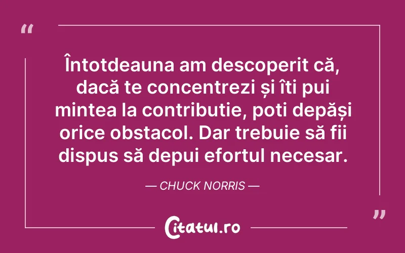 Întotdeauna am descoperit că, dacă te concentrezi și îți pui mintea la contribuție, poți depăși orice obstacol. Dar trebuie să fii dispus să depui efortul necesar. Chuck Norris