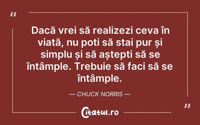 Dacă vrei să realizezi ceva în viață, nu poți să stai pur și simplu și să aștepți să se întâmple. Trebuie să faci să se întâmple. Chuck Norris