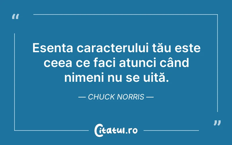 Esența caracterului tău este ceea ce faci atunci când nimeni nu se uită. Chuck Norris