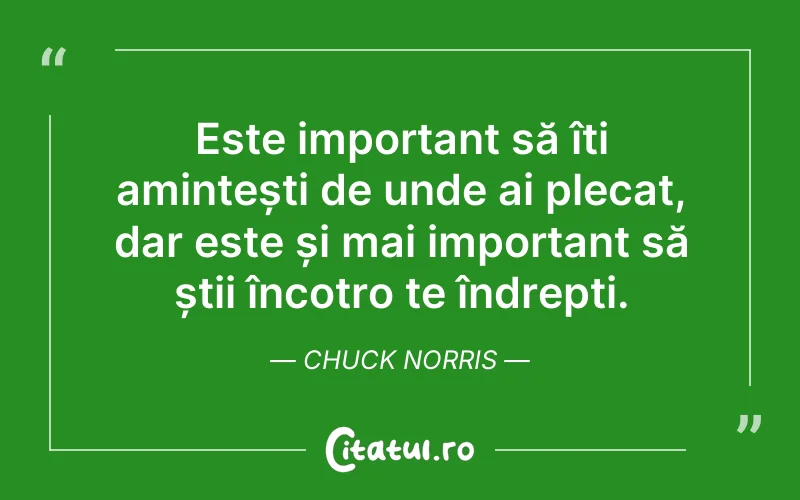 Este important să îți amintești de unde ai plecat, dar este și mai important să știi încotro te îndrepți. Chuck Norris