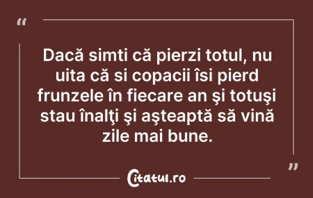 Citeste si: Dacă simți că pierzi totul, nu uita că ș...