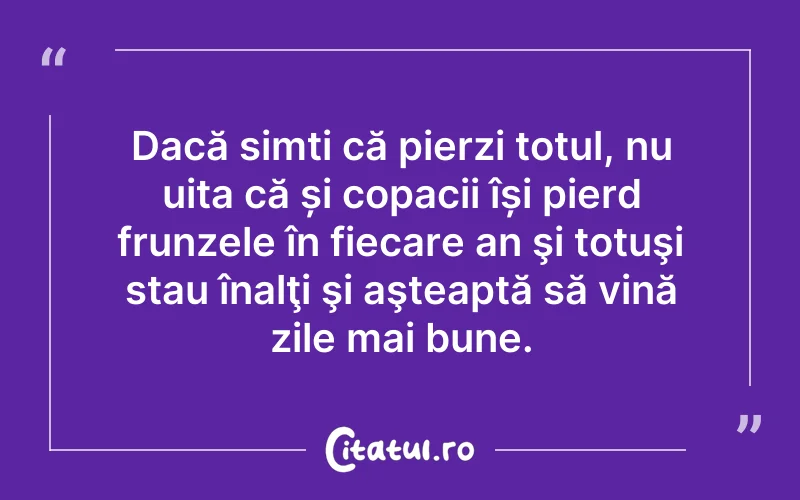 Dacă simți că pierzi totul, nu uita că și copacii își pierd frunzele în fiecare an şi totuşi stau înalţi şi aşteaptă să vină zile mai bune.