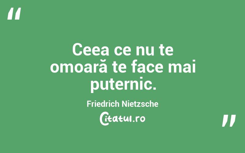Ceea ce nu te omoară te face mai puternic. Friedrich Nietzsche