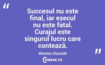 Succesul nu este final, iar eșecul nu este fatal. Curajul este singurul lucru care contează. Winston Churchill...