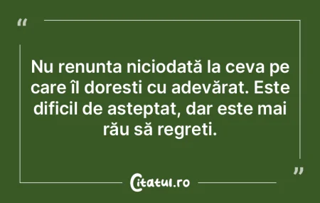 Nu renunÈ›a niciodată la ceva pe care Ã... Nu renunÈ›a niciodată la ceva pe care Ã...