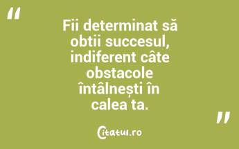 Fii determinat să obții succesul, indiferent câte obstacole întâlnești în calea ta. ...