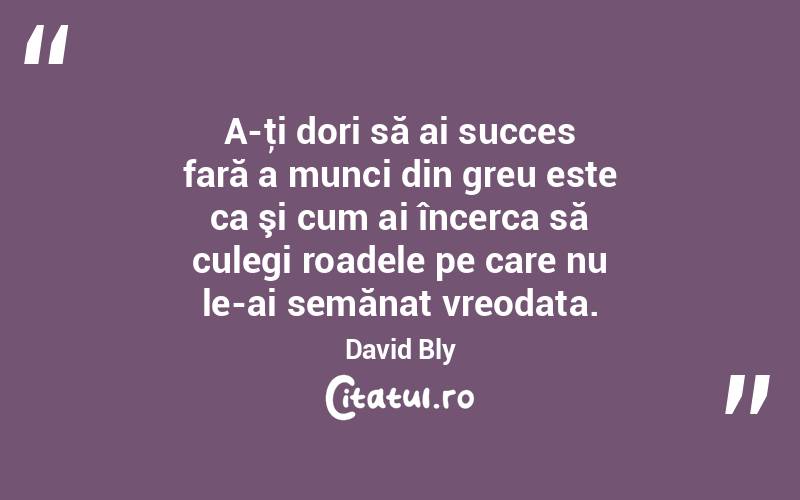 A-ţi dori să ai succes fară a munci din greu este ca şi cum ai încerca să culegi roadele pe care nu le-ai semănat vreodata. David Bly
