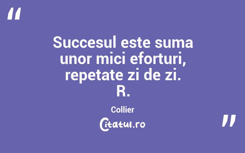 Succesul este suma unor mici eforturi, repetate zi de zi. R. Collier
