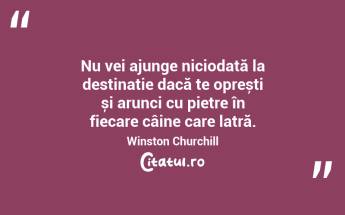 Nu vei ajunge niciodată la destinație dacă te oprești și arunci cu pietre în fiecare câine care latră. Winston Churchill...