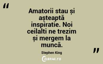 Amatorii stau și așteaptă inspirație. Noi ceilalți ne trezim și mergem la muncă. Stephen King...