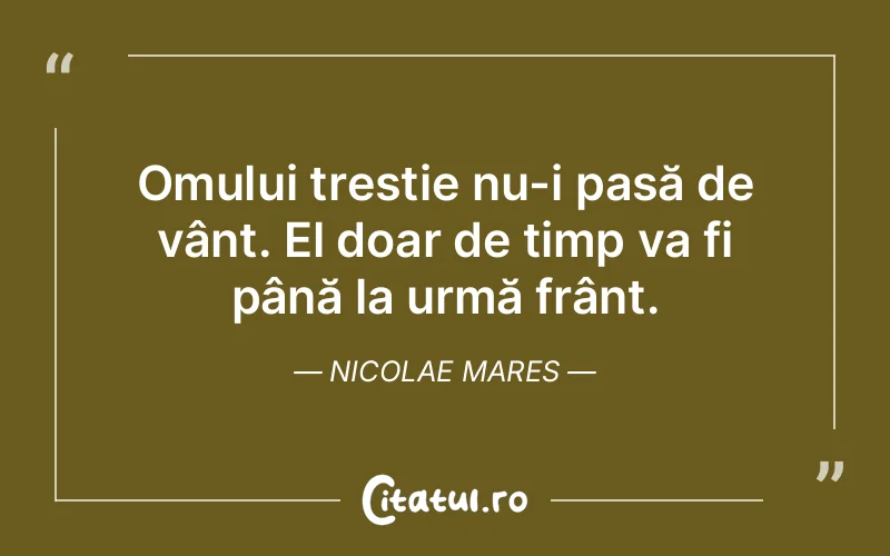 Citat Nicolae Mares - citate oameni