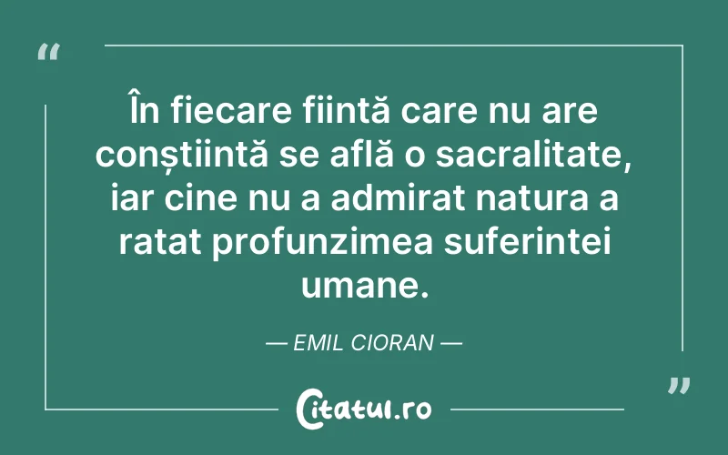 Citat Emil Cioran - citate oameni