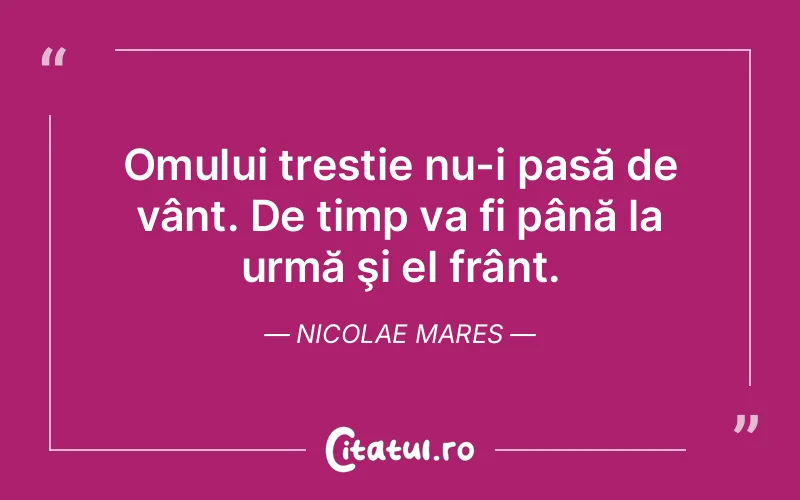 Citat Nicolae Mares - citate oameni