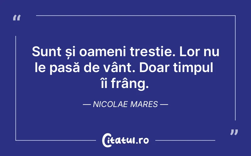 Citat Nicolae Mares - citate oameni